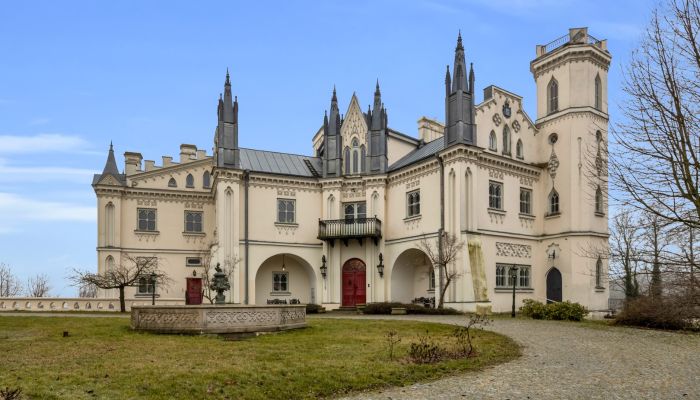 Zámok na predaj Patrykozy, województwo mazowieckie,  Poľsko