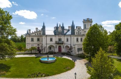 Zámok na predaj Patrykozy, województwo mazowieckie, Pałac w Patrykozach 2025