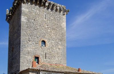 Historický objekt na predaj Villadiego, Travesia de la iglesia S/n, Castilla y León,, Veža