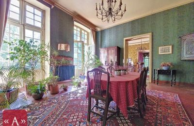 Historická vila na predaj Rabastens, Occitanie, Obrázok 9/18