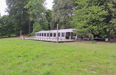 Kaštieľ na predaj Dawidy, Dwór w Dawidach, województwo warmińsko-mazurskie, Zámocký park