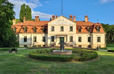 Kaštieľ na predaj Dawidy, Dwór w Dawidach, województwo warmińsko-mazurskie, Neighborhood: Kadyny