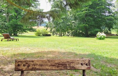Kaštieľ na predaj Dawidy, Dwór w Dawidach, województwo warmińsko-mazurskie, Zámocký park