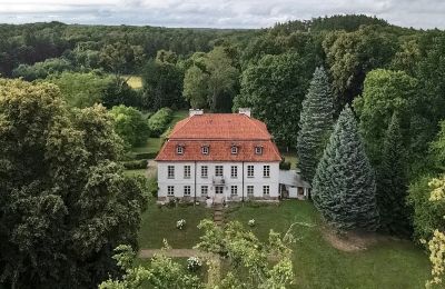 Kaštieľ na predaj Dawidy, Dwór w Dawidach, województwo warmińsko-mazurskie, Fotografia Drona