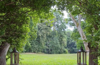 Kaštieľ na predaj Dawidy, Dwór w Dawidach, województwo warmińsko-mazurskie, Zámocký park