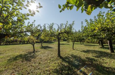 Kaštieľ na predaj Trębki Nowe, województwo mazowieckie, Obrázok 26/35