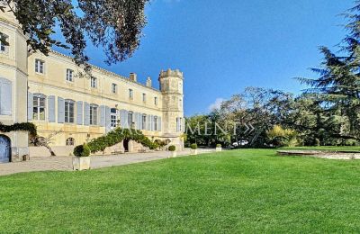 Kaštieľ na predaj Saint-Sulpice-la-Pointe, Occitanie, Pohľad zo zadnej strany