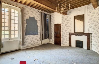 Historický objekt na predaj Bessières, Occitanie, Salón