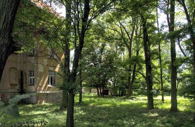 Kaštieľ na predaj Udanin, Główna, województwo dolnośląskie, Zámocký park