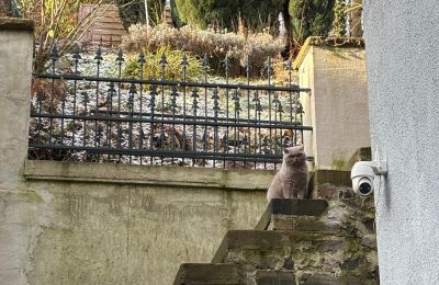 Historická vila na predaj 58762 Altena, Bachstraße 66, Nordrhein-Westfalen, außentreppe zum Garten