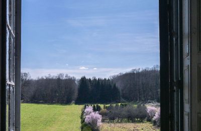 Zámok na predaj Loches, Centre-Val de Loire, Výhľad