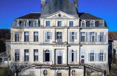 Zámok na predaj Loches, Centre-Val de Loire, Pohľad z prednej strany