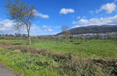 Kaštieľ na predaj 36740 Tomiño, Galícia, Obrázok 16/28