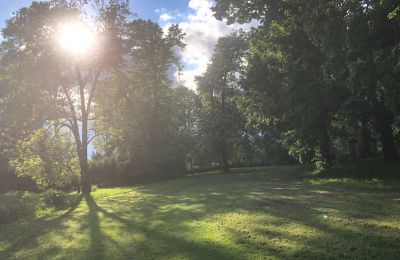 Zámok na predaj Rychnów, województwo opolskie, Obrázok 5/11