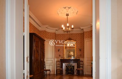 Historická vila na predaj Angoulême, Nouvelle-Aquitaine, Salón
