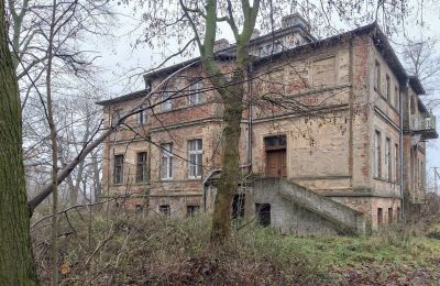 Kaštieľ na predaj Parsko, Pałac w Parsku, województwo wielkopolskie, Obrázok 14/16