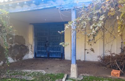 Mestská palác na predaj Almagro, Castilla-La Mancha, Záhrada