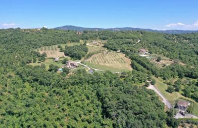 Vidiecky dom na predaj 06060 Lisciano Niccone, Umbria, Obrázok 21/48