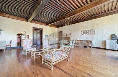 Kaštieľ na predaj Tournay, Occitanie, Obrázok 8/25
