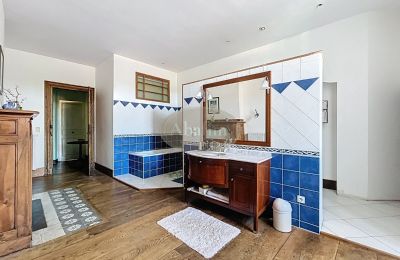 Kaštieľ na predaj Tournay, Occitanie, Obrázok 19/25