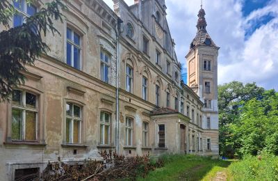 Zámok na predaj Jędrzychów, Pałac w Jędrzychowie, województwo dolnośląskie,, Pohľad z prednej strany