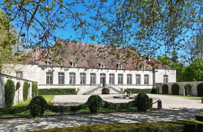 Kaštieľ na predaj Chaumont, Grand-Est, Záhrada