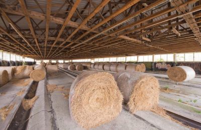 Kaštieľ na predaj 17498 Mesekenhagen, Mecklenburg-Vorpommern, Obrázok 18/22