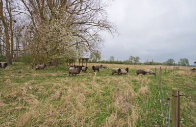 Kaštieľ na predaj 17498 Mesekenhagen, Mecklenburg-Vorpommern, Obrázok 22/22