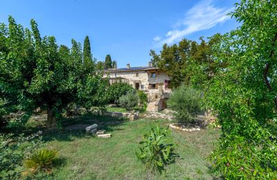 Historický objekt na predaj Uzès, Occitanie, Záhrada