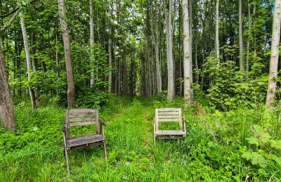 Hrad na predaj 18513 Glewitz, Mecklenburg-Vorpommern, Wald / Außenbereich
