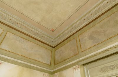 Kaštieľ na predaj 23881 Niendorf / Stecknitz, Schleswig-Holstein, Detaily