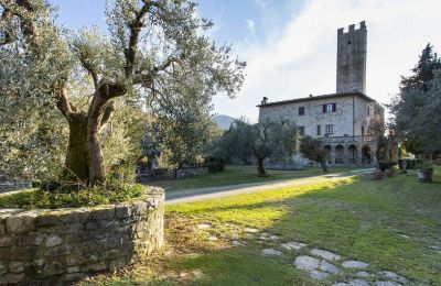 Hrad na predaj Croci di Calenzano, Toscana, Záhrada