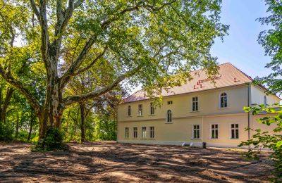 Zámok na predaj Środa Śląska, Pałac w Wojczycach, województwo dolnośląskie, Obrázok 5/23