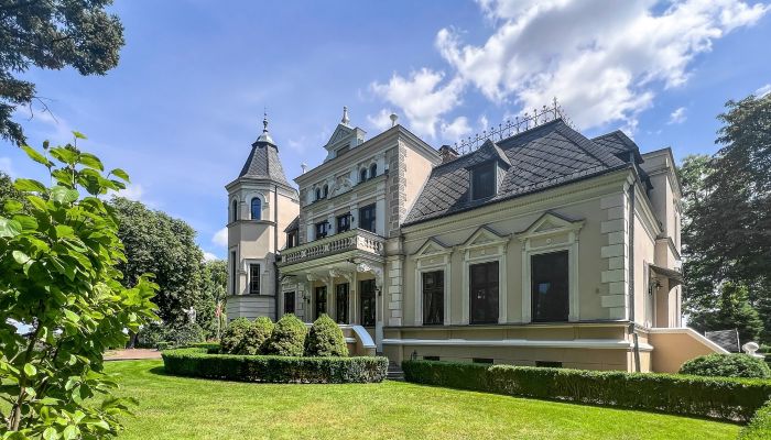 Kaštieľ na predaj Kujavsko-Pomoransko