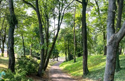 Kaštieľ na predaj Kujavsko-Pomoransko, Zámocký park