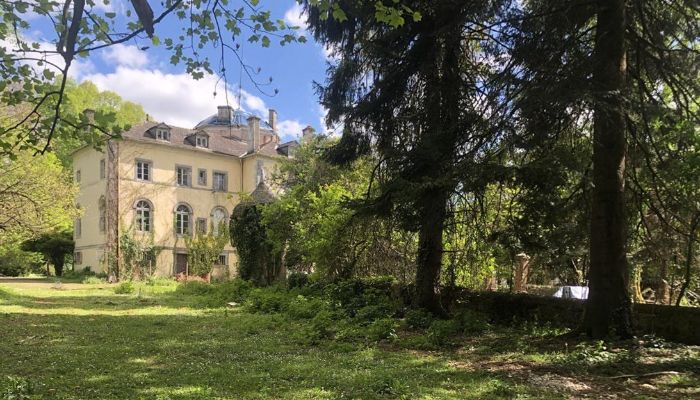 Zámok na predaj Pontacq, Nouvelle-Aquitaine,  Francúzsko