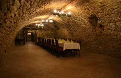 Kaštieľ na predaj Koplotovce,  kaštieľ, Trnavský kraj, Pivnica