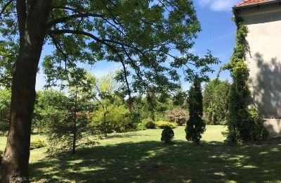 Kaštieľ na predaj Koplotovce,  kaštieľ, Trnavský kraj, Zámocký park