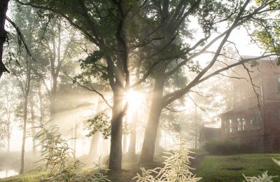 Kaštieľ na predaj Virķēni, Virķēnu muiža, Vidzeme, Obrázok 22/22