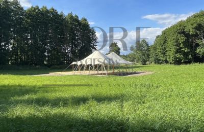 Kaštieľ na predaj Mińsk Mazowiecki, województwo mazowieckie, Obrázok 4/12