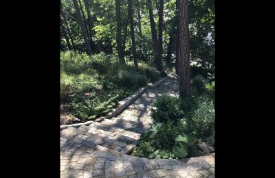 Mestský palác na predaj Barlinek, Strzelecka  23, Západné Pomoransko, Obrázok 11/13