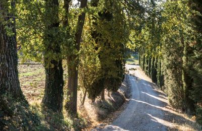 Historická vila na predaj Torrenieri, Toscana, Prístup
