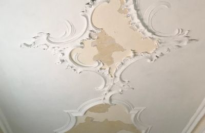 Zámok na predaj Baden-Württemberg, Obrázok 17/26