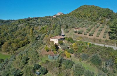 Nehnuteľnosti s charakterom, Terrace Valley View - Farmhouse in Monte Santa Maria Tiberina