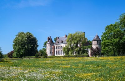 Zámok na predaj Sens, Bourgogne-Franche-Comté, Zámocký park