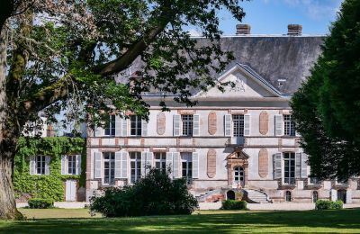 Zámok na predaj Sens, Bourgogne-Franche-Comté, Pohľad z prednej strany