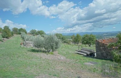 Historická vila na predaj Monterchi, Toscana, Obrázok 22/24