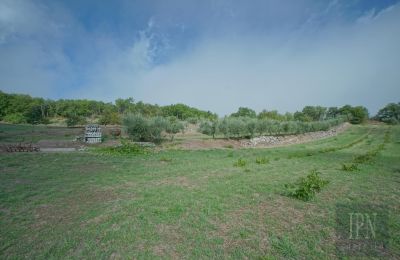 Historická vila na predaj Monterchi, Toscana, Obrázok 23/24