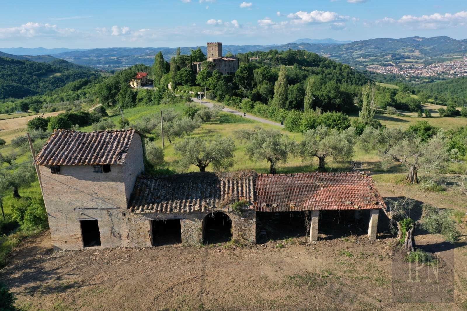 Fotky Polgeto Olive Barn Project