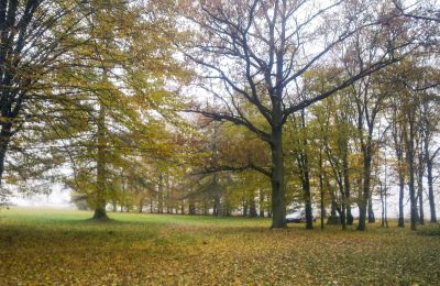 Historický park na predaj Skorki, województwo mazowieckie,, Nehnuteľnosť
